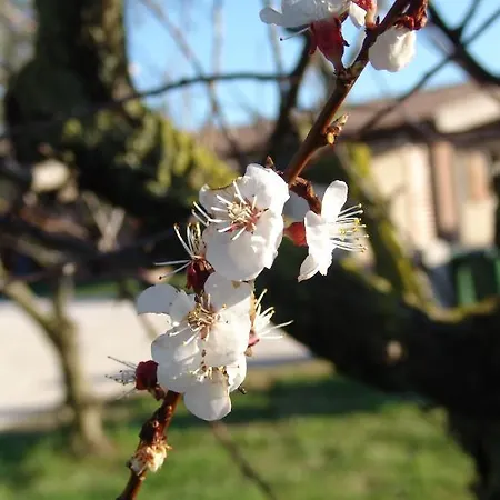 波德雷1248酒店 3*