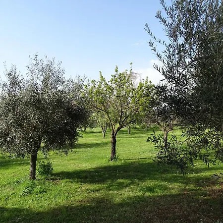 Aparthotel Podere 1248 Ladispoli